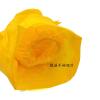  Yellow PVC raincoat (long) 